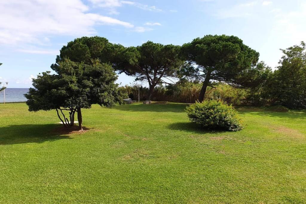 Studio Bord De Mer - Piscine - Plage San-Nicolao Zewnętrze zdjęcie
