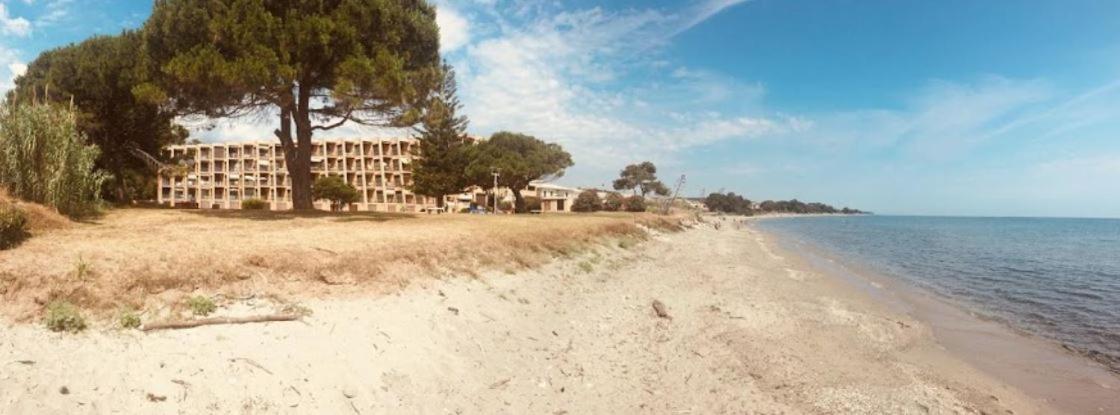 Studio Bord De Mer - Piscine - Plage San-Nicolao Zewnętrze zdjęcie